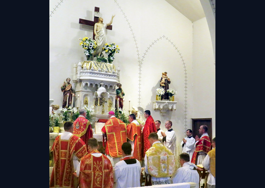 2025-ordinations-05-concelebration