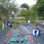 Better safe than sorry! The Novitiate took up the challenge to plant a
HUGE garden this year, more than doubling the planting area. The huge novitiate garden