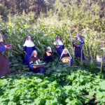 Novices show off freshly picked vegetables from the novitiate’s large garden. (It is 130 feet long by 32 feet wide!)