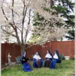 Enjoying the Springtime Blossoms