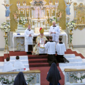 Petition for Renewal of Vows