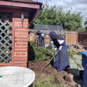 Nuns working in garden