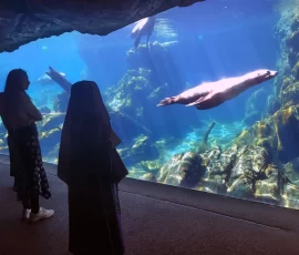 Sister and her eighth graders from Holy Guardian Angels school in Olathe, Colorado, visit the aquarium at the Denver Zoo.